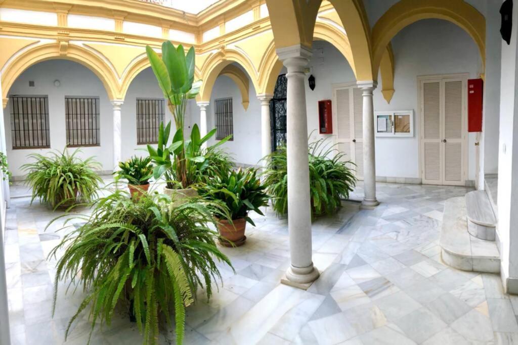 Gatu Villa Palma, Aire Acc Y Confort En El Centro Historico, " Preferente Mayores De 25 Anos Y Familias " El Puerto de Santa Maria Ngoại thất bức ảnh